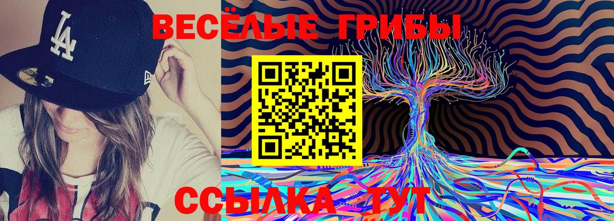 Галлюциногенные грибы мицелий  Галлюциногенные грибы Psilocybe  Вход с VPN  Белогорск 